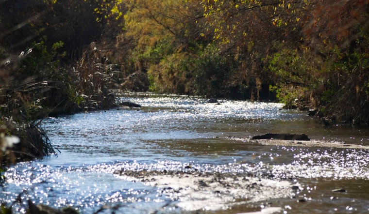 Santa Cruz River's Decade of Restoration Yields Ecological Triumphs in Pima County and Tucson