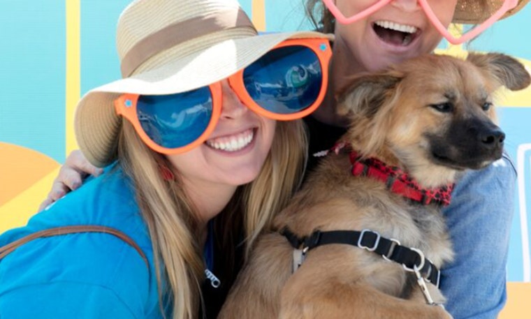 Santa Monica Welcomes Furry Friends at Little Blue Dog Run Grand Opening Celebration