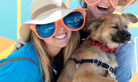 Santa Monica Welcomes Furry Friends at Little Blue Dog Run Grand Opening Celebration