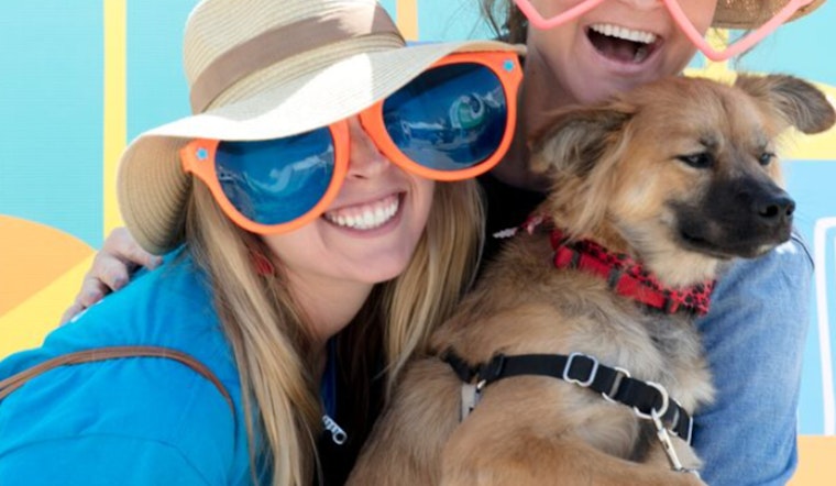 Santa Monica Welcomes Furry Friends at Little Blue Dog Run Grand Opening Celebration