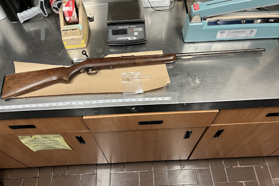 Santa Rosa Burglary Alarm Leads to Arrest of Felon with Firearm and Drugs