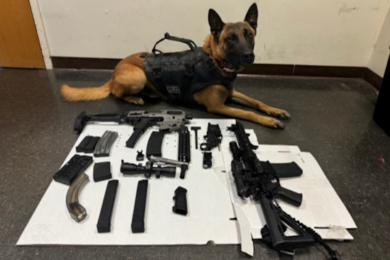 Santa Rosa Man Charged with Multiple Firearms Offenses After Police Discover Illegal Weapons Cache