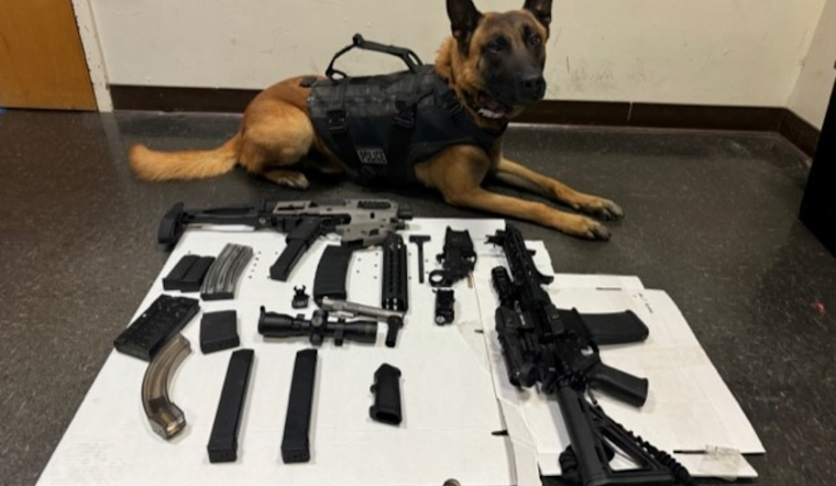 Santa Rosa Man Charged with Multiple Firearms Offenses After Police Discover Illegal Weapons Cache