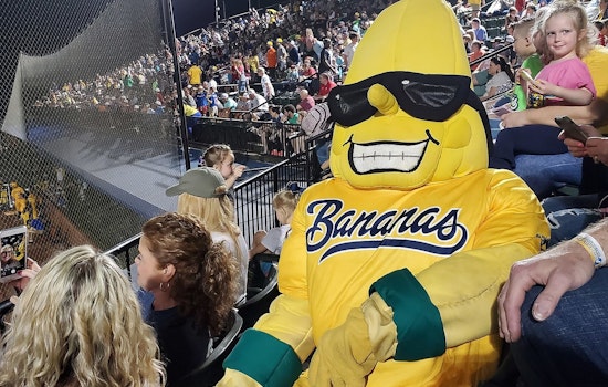Savannah Bananas Set to Swing into Chicago's Guaranteed Rate Field Amid Nationwide Baseball Spectacle in 2025