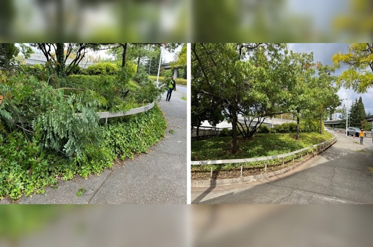 SDOT Prunes Back Overgrowth in Seattle for Safer Streets and Improved Visibility