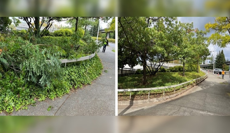 SDOT Prunes Back Overgrowth in Seattle for Safer Streets and Improved Visibility
