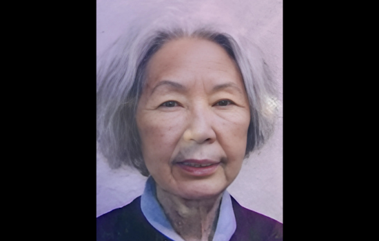 Search Underway for Missing Elderly Woman with Dementia in Horizon, Texas