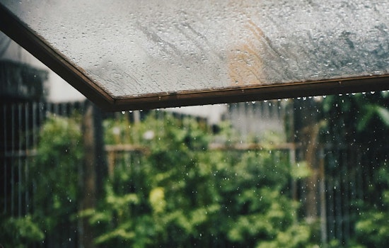 Seattle Braces for Showers with Hopes of Afternoon Sunshine, NWS Forecasts Rain into Weekend