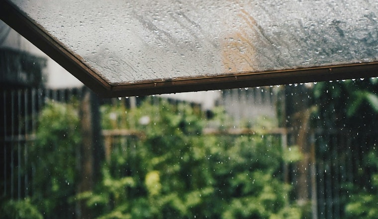 Seattle Braces for Showers with Hopes of Afternoon Sunshine, NWS Forecasts Rain into Weekend