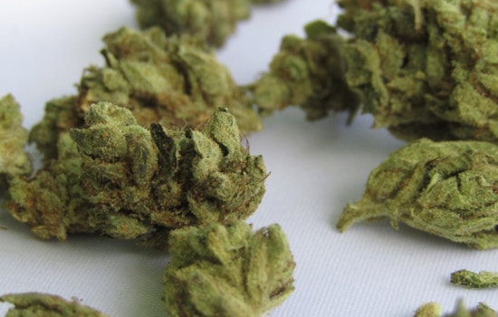 Seattle Man Sentenced to 90 Months for String of Armed Marijuana Dispensary Robberies