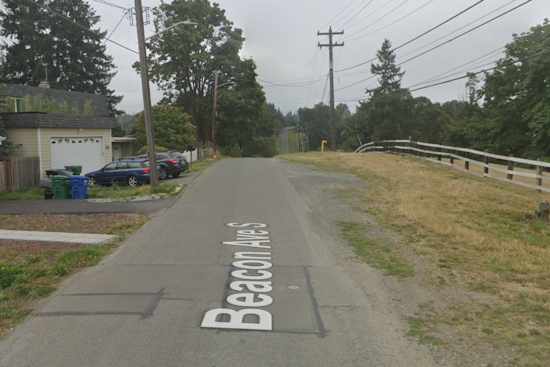 Seattle Officers Successfully Round Up Roaming Horse in Rainier Beach Neighborhood