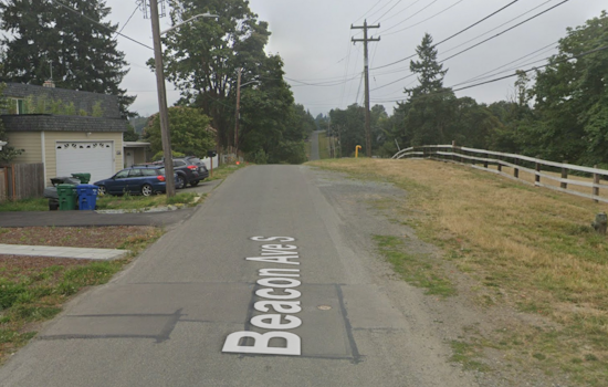 Seattle Officers Successfully Round Up Roaming Horse in Rainier Beach Neighborhood