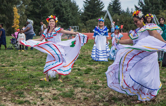 Seattle's Arts in Parks Grant Opens Applications for 2025 Events to Cultivate Culture in Local Communities
