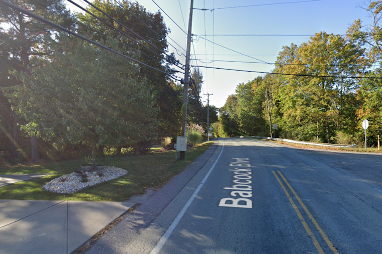 Severe Thunderstorm Aftermath, Fallen Tree Causes Closure of Babcock Boulevard in Shaler Township