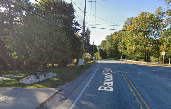 Severe Thunderstorm Aftermath, Fallen Tree Causes Closure of Babcock Boulevard in Shaler Township