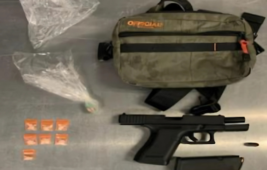 Severna Park Woman Arrested for Suspected Drug and Weapon Possession in Glen Burnie