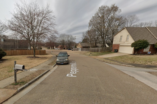 Shelby County Deputies Uncover Woman's Body, Person of Interest Detained Amid Neighborhood Shock