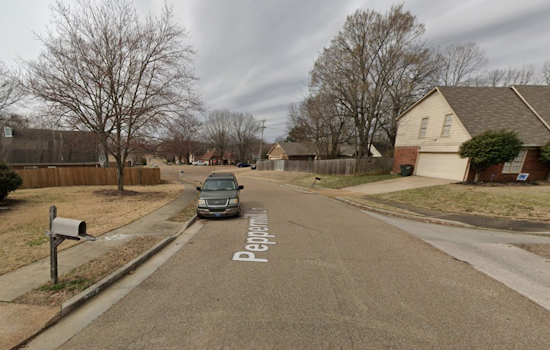 Shelby County Deputies Uncover Woman's Body, Person of Interest Detained Amid Neighborhood Shock