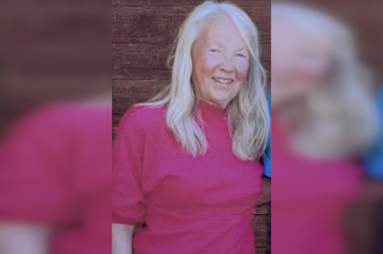 Show Low Community Rallies in Search for Missing Elderly Woman Karen Blaine Under Silver Alert