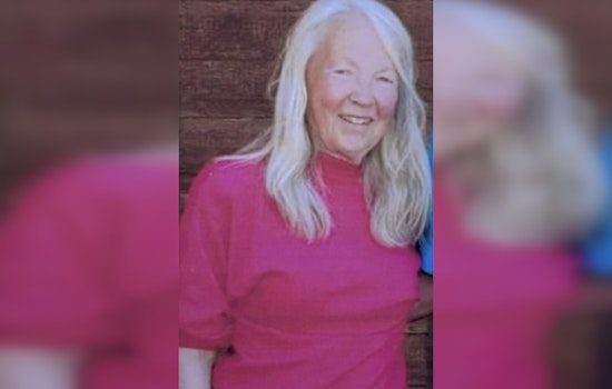 Show Low Community Rallies in Search for Missing Elderly Woman Karen Blaine Under Silver Alert