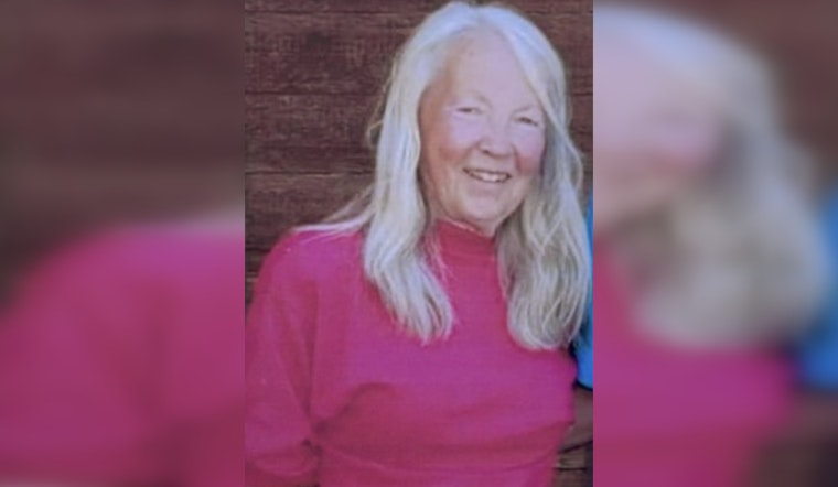 Show Low Community Rallies in Search for Missing Elderly Woman Karen Blaine Under Silver Alert