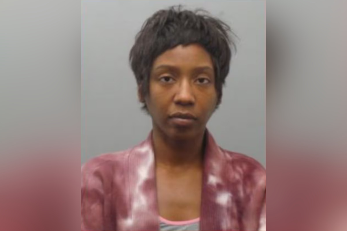 St Louis County Mother Charged with Kidnapping Her Own Son Violating St Louis County Mother Charged with Kidnapping Her Own Son Violating