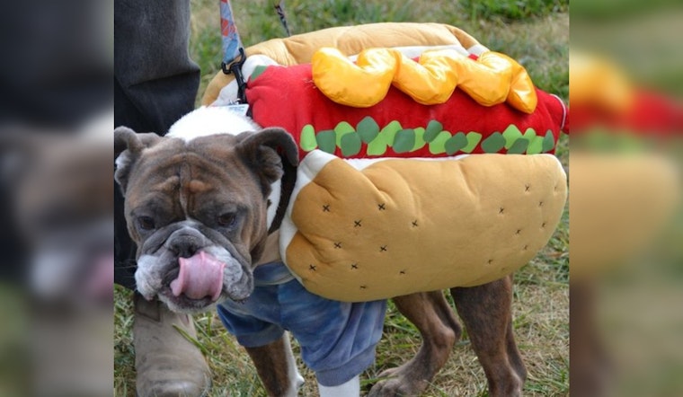 St. Louis Park Goes to the Dogs: Over 400 Celebrate Howl-O-Ween with Pups and Pals