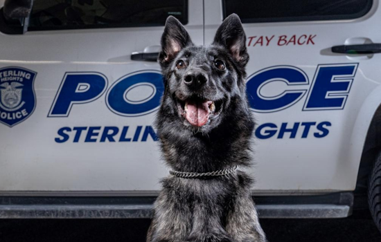 Sterling Heights Named Safest Large City in Michigan for 2023, Credits Police-Community Bond