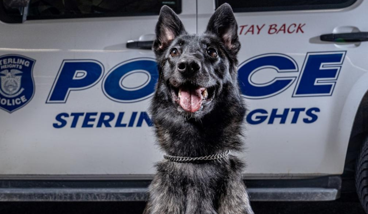 Sterling Heights Named Safest Large City in Michigan for 2023, Credits Police-Community Bond