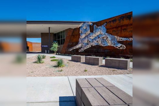 Steve Kozachik Appointed Interim Director of Pima Animal Care Center in Tucson