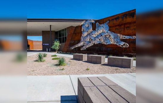 Steve Kozachik Appointed Interim Director of Pima Animal Care Center in Tucson