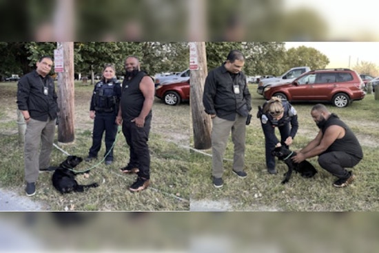 Stolen Puppy Reunited with Owner in Southeast Washington as Police Seek Suspect