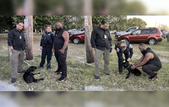 Stolen Puppy Reunited with Owner in Southeast Washington as Police Seek Suspect
