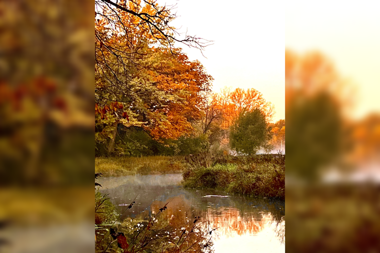 Stunning Images Capture Minnetonka's Essence in Annual Photo Contest Winners Announcement