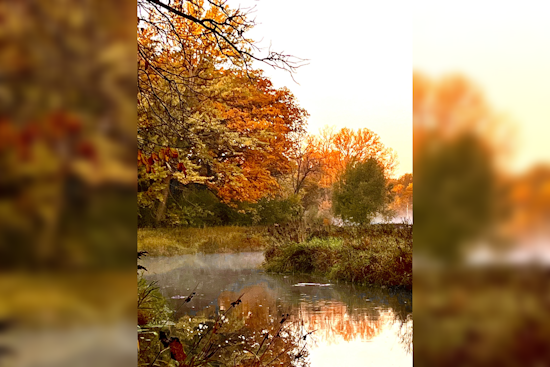 Stunning Images Capture Minnetonka's Essence in Annual Photo Contest Winners Announcement