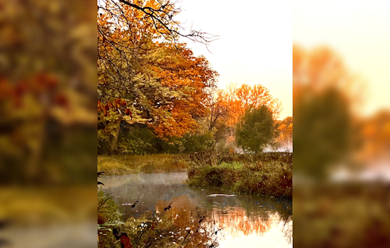 Stunning Images Capture Minnetonka's Essence in Annual Photo Contest Winners Announcement