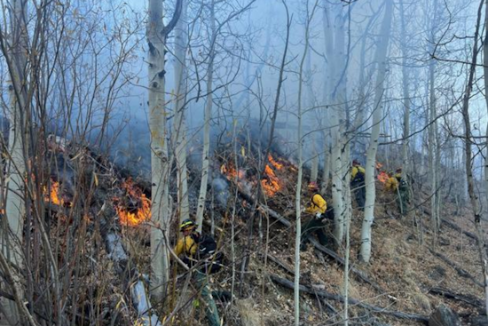 Summit County's Meadow Creek Fire Near I-70 in Frisco Under Control, No Evacuations Required