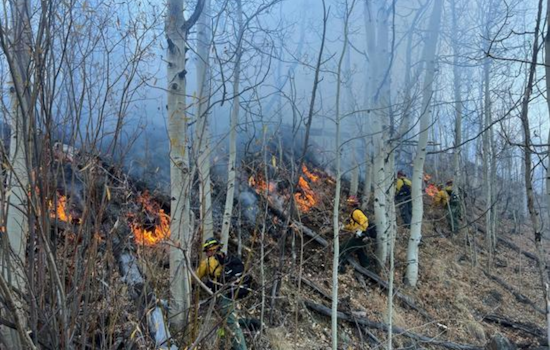 Summit County's Meadow Creek Fire Near I-70 in Frisco Under Control, No Evacuations Required