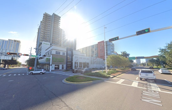 Tampa Forecasts Clear Skies and Comfortable Temperatures for the Upcoming Week