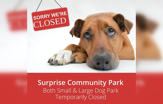 Surprise Community Dog Park to Close Temporarily for Upgrades Starting October 7