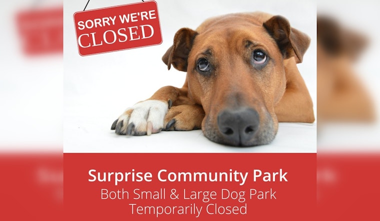 Surprise Community Dog Park to Close Temporarily for Upgrades Starting October 7