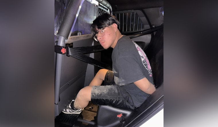 Suspect Detained for Theft and Evading Arrest in Harris County Construction Site Incident