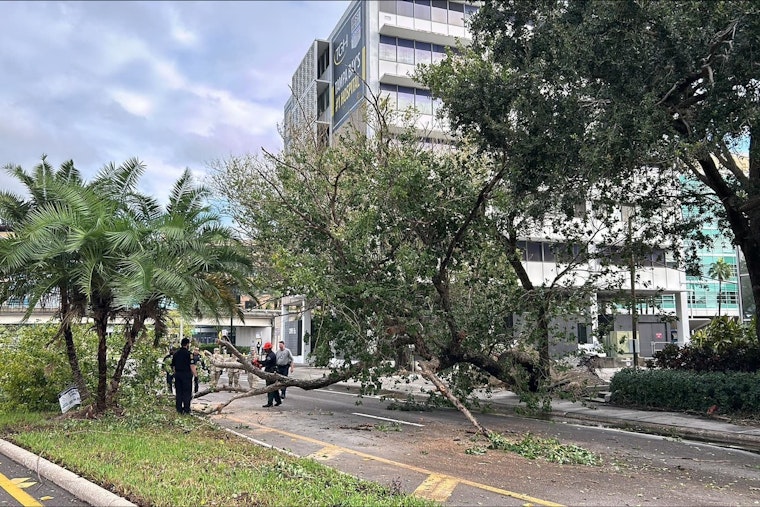 Tampa Confronts Extensive Damage as Hurricane Milton Leaves City in Disarray