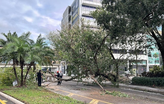 Tampa Confronts Extensive Damage as Hurricane Milton Leaves City in Disarray