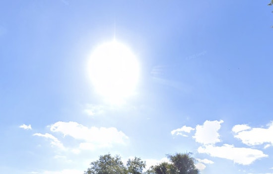 Tampa Enjoys Mild Temperatures and Clear Skies with Pleasant Weather Ahead This Weekend