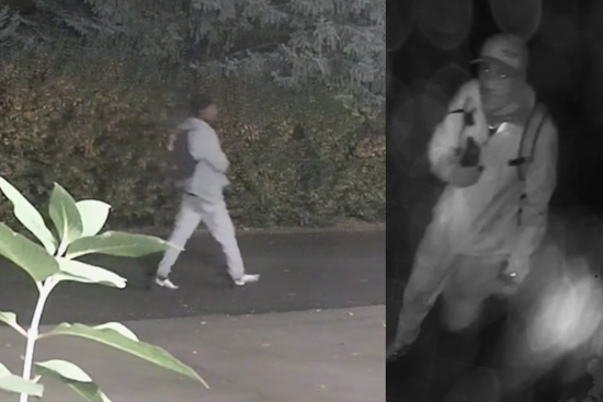 Teams of Burglars Strike Luxury Homes in Arapahoe County, Authorities Urge Vigilance Amid $1 Million in Losses
