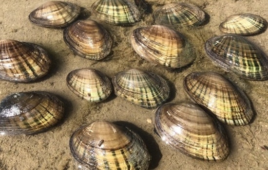 Texas Attorney General Ken Paxton Sues Biden Administration Over Endangered Mussel Protections