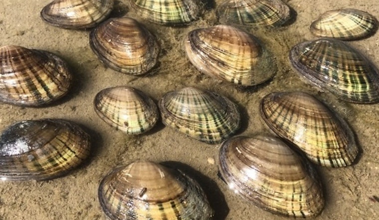 Texas Attorney General Ken Paxton Sues Biden Administration Over Endangered Mussel Protections