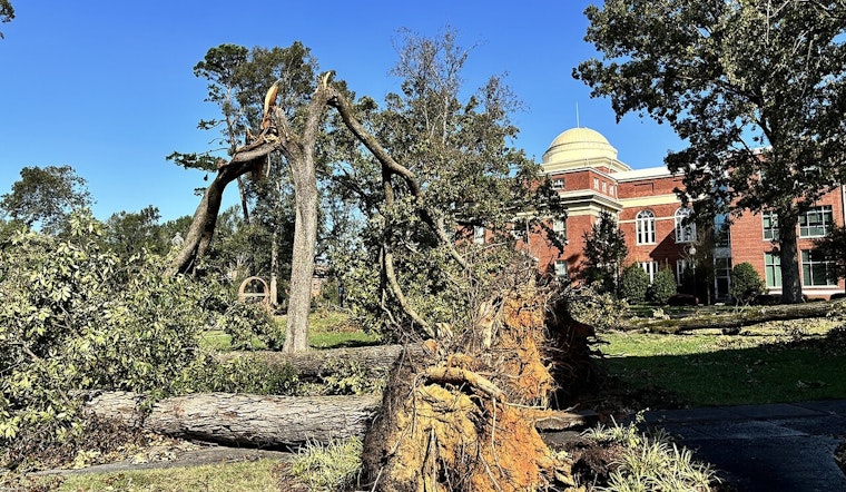 Texas Lends a Hand to South Carolina for Cleanup in Hurricane Helene Aftermath
