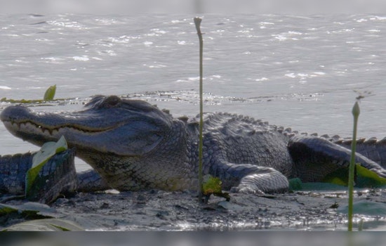 Texas Parks and Wildlife TV Series Marks 40 Seasons of Celebrating Natural Wonders